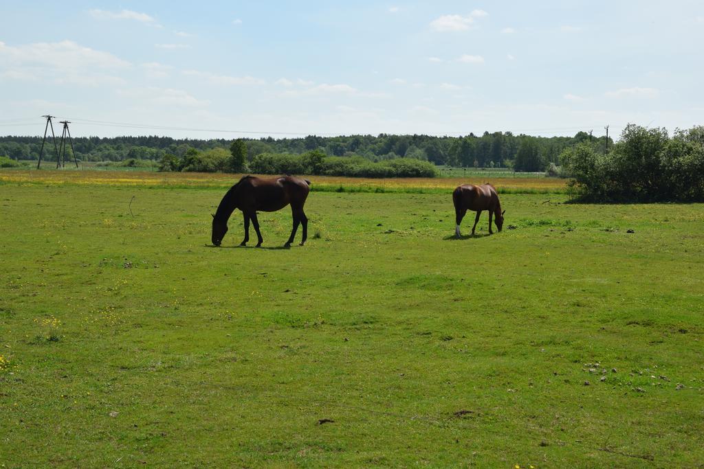 Domki Letniskowe Nad Morzem Ujście-Darłowskie Extérieur photo